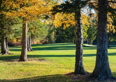 buffalo hill golf club kalispell mt course gallery 7
