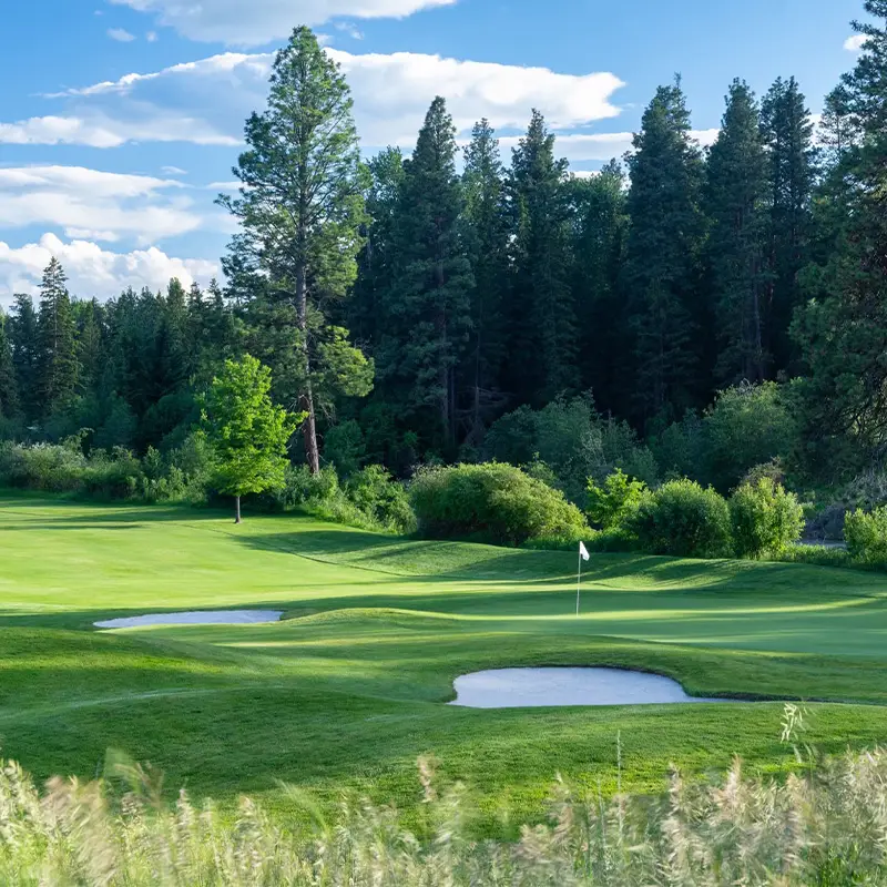 buffalo hill golf club kalispell mt course