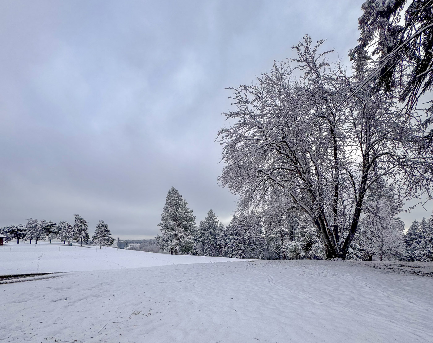 Buffalo Hill 19th Hole IMG 1456